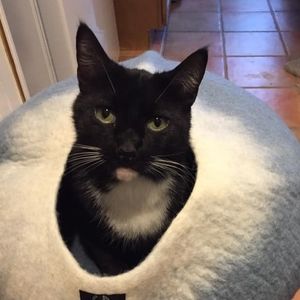 Meet your Posher, Sheila